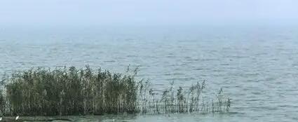 《淡水水生生物水質(zhì)基準(zhǔn)制定技術(shù)指南》發(fā)布以來(lái)的首次修訂